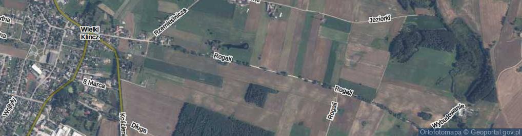 Zdjęcie satelitarne Rogali Tomasza ul.